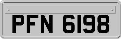 PFN6198