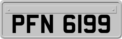 PFN6199
