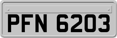 PFN6203