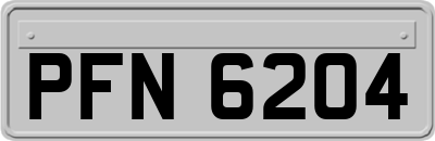 PFN6204