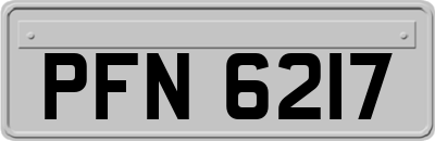 PFN6217