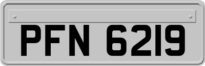 PFN6219