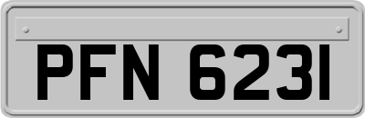 PFN6231