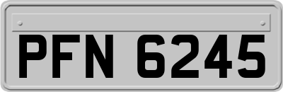 PFN6245
