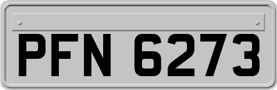 PFN6273