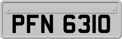 PFN6310