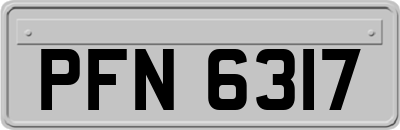 PFN6317