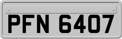 PFN6407