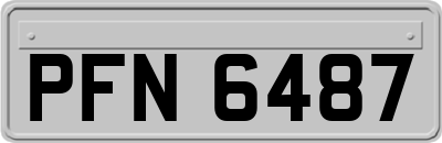 PFN6487
