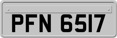 PFN6517