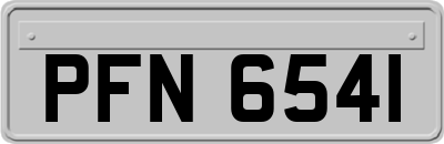 PFN6541
