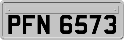 PFN6573