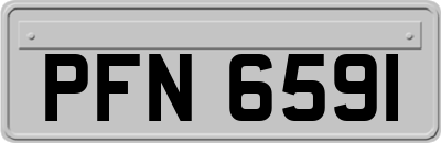 PFN6591