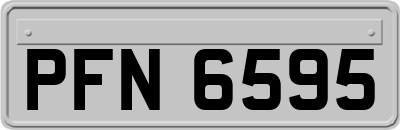 PFN6595