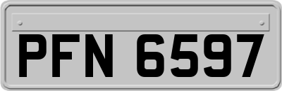 PFN6597