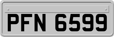 PFN6599