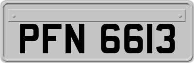 PFN6613
