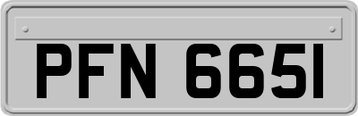 PFN6651