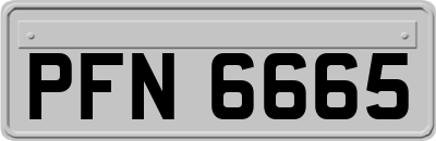 PFN6665