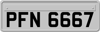 PFN6667