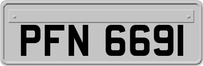 PFN6691
