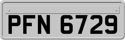 PFN6729