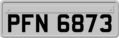 PFN6873