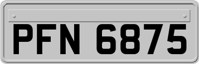 PFN6875