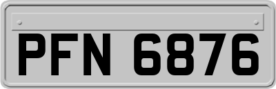 PFN6876