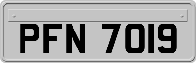 PFN7019