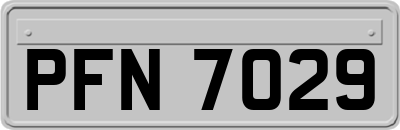 PFN7029