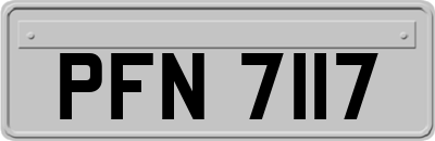 PFN7117