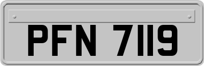 PFN7119