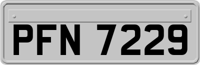 PFN7229