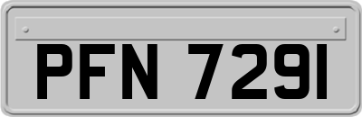 PFN7291