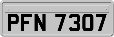 PFN7307