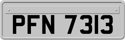 PFN7313