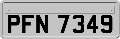 PFN7349