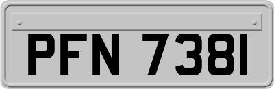 PFN7381
