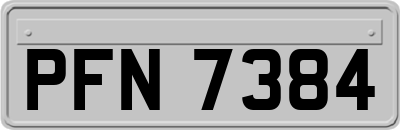 PFN7384