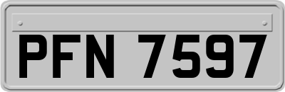 PFN7597