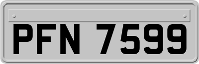 PFN7599