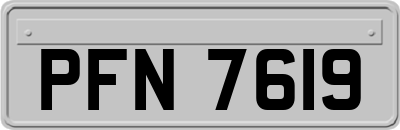 PFN7619