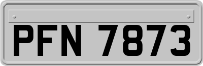 PFN7873