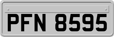 PFN8595