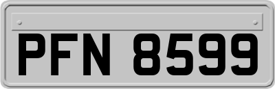 PFN8599