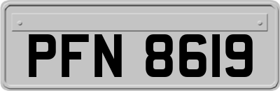 PFN8619