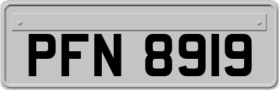 PFN8919