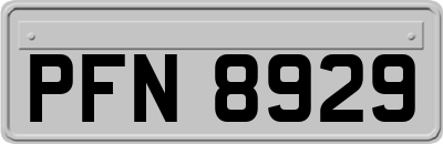 PFN8929