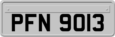 PFN9013